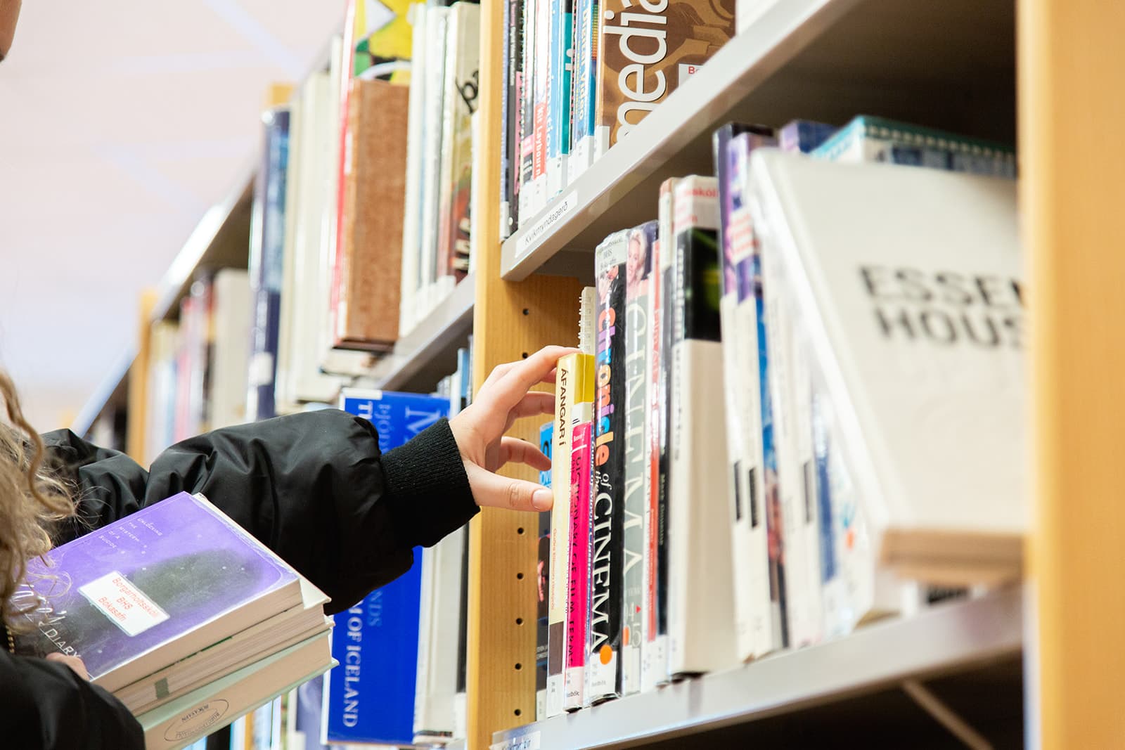 Líf í borgarholtsskóla